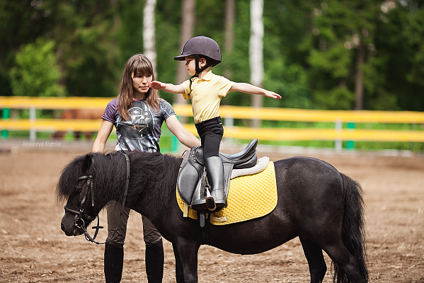 Обучение верховой езде в Тольятти. Сервис Ultra Подарки. Купить обучение верховой езде в Тольятти. Вы сможете попробовать курс по верховой езде и конные прогулки. Сервис UltraPodarki.ru 8 800 505 95 30. Обучение верховой езде, верховая езда в Тольятти, верховая езда Тольятти, конный спорт, уроки верховой езды, школа верховой езды, конные прогулки, верховая езда, школа верховой езды в Тольятти, конные прогулки в Тольятти, обучение верховой езде в Тольятти, конный спорт в Тольятти, уроки верховой езды в Тольятти