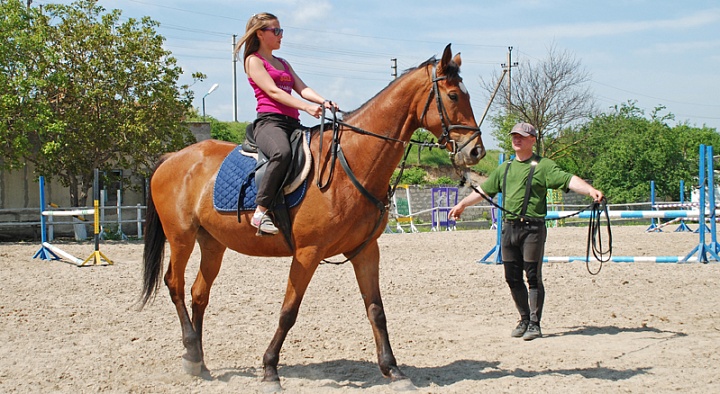 Обучение верховой езде в Тольятти. Сервис Ultra Подарки. Купить обучение верховой езде в Тольятти. Вы сможете попробовать курс по верховой езде и конные прогулки. Сервис UltraPodarki.ru 8 800 505 95 30. Обучение верховой езде, верховая езда в Тольятти, верховая езда Тольятти, конный спорт, уроки верховой езды, школа верховой езды, конные прогулки, верховая езда, школа верховой езды в Тольятти, конные прогулки в Тольятти, обучение верховой езде в Тольятти, конный спорт в Тольятти, уроки верховой езды в Тольятти