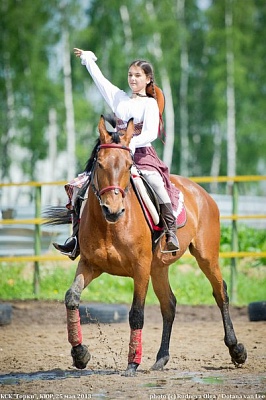 Обучение верховой езде в Тольятти. Сервис Ultra Подарки. Купить обучение верховой езде в Тольятти. Вы сможете попробовать курс по верховой езде и конные прогулки. Сервис UltraPodarki.ru 8 800 505 95 30. Обучение верховой езде, верховая езда в Тольятти, верховая езда Тольятти, конный спорт, уроки верховой езды, школа верховой езды, конные прогулки, верховая езда, школа верховой езды в Тольятти, конные прогулки в Тольятти, обучение верховой езде в Тольятти, конный спорт в Тольятти, уроки верховой езды в Тольятти