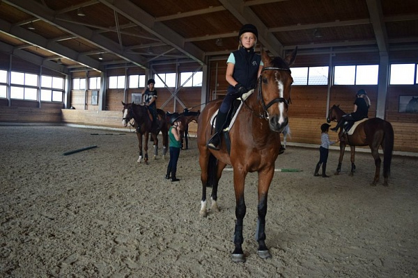 Обучение верховой езде в Тольятти. Сервис Ultra Подарки. Купить обучение верховой езде в Тольятти. Вы сможете попробовать курс по верховой езде и конные прогулки. Сервис UltraPodarki.ru 8 800 505 95 30. Обучение верховой езде, верховая езда в Тольятти, верховая езда Тольятти, конный спорт, уроки верховой езды, школа верховой езды, конные прогулки, верховая езда, школа верховой езды в Тольятти, конные прогулки в Тольятти, обучение верховой езде в Тольятти, конный спорт в Тольятти, уроки верховой езды в Тольятти