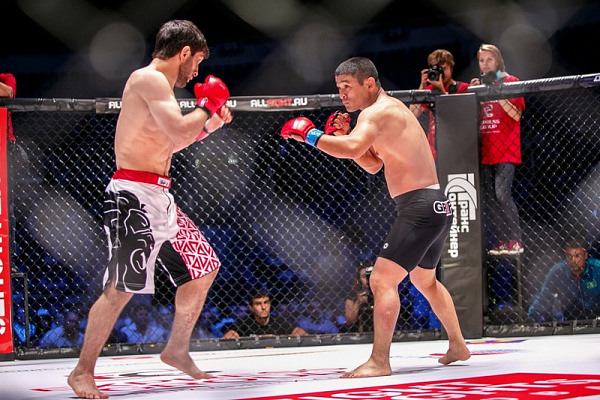 Смешанные единоборства в Тольятти. Сервис Ultra Подарки. Купить подарочный сертификат на смешанные единоборства в Тольятти. Опытные инструкторы обучат вас ММА. Сервис UltraPodarki.ru 8 800 505 95 30. Смешанные единоборства, бои без правил, ММА, смешанные единоборства в Тольятти, UFC, смешанные боевые искусства, бои без правил Тольятти, UFC Тольятти, смешанные боевые искусства Тольятти, ММА Тольятти, занятия ММА Тольятти
