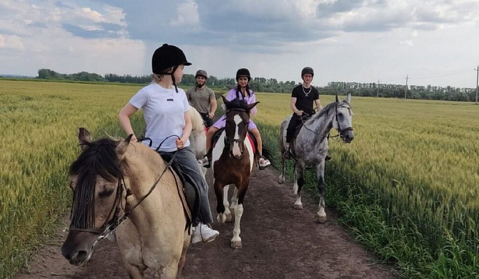 Конная прогулка для двоих в Тольятти. Подарочные сертификаты Ultra Подарки. Купить оригинальный подарок или подарочный сертификат на Конную прогулка для двоих в Тольятти. Сервис UltraPodarki.ru 8-800-505-9530. Катание на лошадях, Прогулка на лошади, Прогулка на лошадях для двоих,кони, конный клуб, конный клуб Horse Travel, конная прогулка, конная прогулка в Тольятти