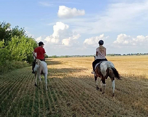 Конная прогулка для двоих в Тольятти. Подарочные сертификаты Ultra Подарки. Купить оригинальный подарок или подарочный сертификат на Конную прогулка для двоих в Тольятти. Сервис UltraPodarki.ru 8-800-505-9530. Катание на лошадях, Прогулка на лошади, Прогулка на лошадях для двоих,кони, конный клуб, конный клуб Horse Travel, конная прогулка, конная прогулка в Тольятти
