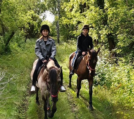 Конная прогулка для двоих в Тольятти. Подарочные сертификаты Ultra Подарки. Купить оригинальный подарок или подарочный сертификат на Конную прогулка для двоих в Тольятти. Сервис UltraPodarki.ru 8-800-505-9530. Катание на лошадях, Прогулка на лошади, Прогулка на лошадях для двоих,кони, конный клуб, конный клуб Horse Travel, конная прогулка, конная прогулка в Тольятти