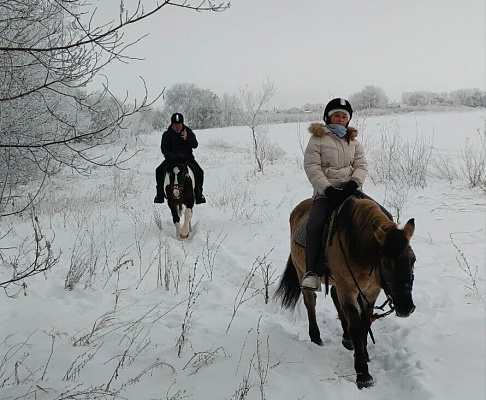 Конная прогулка для двоих в Тольятти. Подарочные сертификаты Ultra Подарки. Купить оригинальный подарок или подарочный сертификат на Конную прогулка для двоих в Тольятти. Сервис UltraPodarki.ru 8-800-505-9530. Катание на лошадях, Прогулка на лошади, Прогулка на лошадях для двоих,кони, конный клуб, конный клуб Horse Travel, конная прогулка, конная прогулка в Тольятти