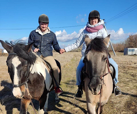 Конная прогулка для двоих в Тольятти. Подарочные сертификаты Ultra Подарки. Купить оригинальный подарок или подарочный сертификат на Конную прогулка для двоих в Тольятти. Сервис UltraPodarki.ru 8-800-505-9530. Катание на лошадях, Прогулка на лошади, Прогулка на лошадях для двоих,кони, конный клуб, конный клуб Horse Travel, конная прогулка, конная прогулка в Тольятти