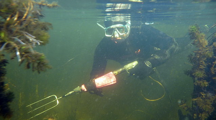 Дайвинг в Тольятти глубокое погружение с аквалангом. Ultra Подарки. Дайвинг. Купить дайвинг в Тольятти, обучение глубокому погружению, арендовать акваланг и подводное снаряжение. UltraPodarki.ru 8 800 505 95 30. дайвинг погружение Тольятти, подводное плавание Тольятти, дайвинг клуб Тольятти, подарочные сертификаты, глубокое погружение, погружение с аквалангом Тольятти, дайвинг центр Тольятти, купить дайвинг Тольятти