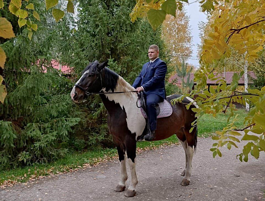 Конная прогулка для двоих в Тольятти. Подарочные сертификаты Ultra Подарки. Купить оригинальный подарок или подарочный сертификат на Конную прогулка для двоих в Тольятти. Сервис UltraPodarki.ru 8-800-505-9530. Катание на лошадях, Прогулка на лошади, Прогулка на лошадях для двоих,кони, конный клуб, конный клуб Horse Travel, конная прогулка, конная прогулка в Тольятти