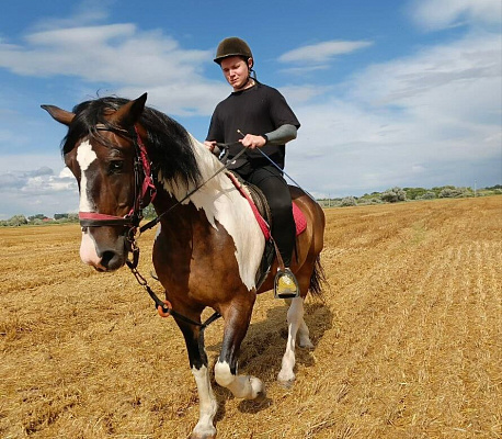 Конная прогулка для двоих в Тольятти. Подарочные сертификаты Ultra Подарки. Купить оригинальный подарок или подарочный сертификат на Конную прогулка для двоих в Тольятти. Сервис UltraPodarki.ru 8-800-505-9530. Катание на лошадях, Прогулка на лошади, Прогулка на лошадях для двоих,кони, конный клуб, конный клуб Horse Travel, конная прогулка, конная прогулка в Тольятти