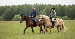 Конная прогулка